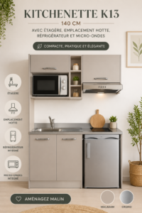 Une kitchenette élégamment aménagée avec évier, réfrigérateur et rangements