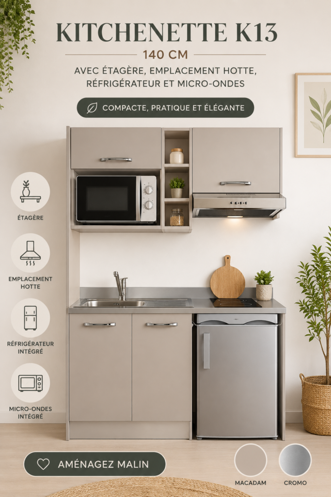 Une kitchenette élégamment aménagée avec évier, réfrigérateur et rangements
