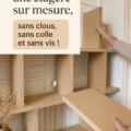 Photo d'une étagère murale en bois sur mesure, sans clous ni vis, décorée avec des livres et des plantes.