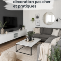 Un salon décoré avec style à petit prix, mettant en avant des meubles et accessoires abordables.