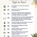 Illustration d'une femme consultant un budget pour améliorer sa santé financière.